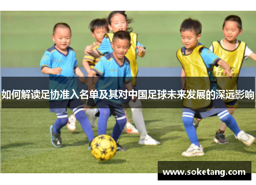 如何解读足协准入名单及其对中国足球未来发展的深远影响
