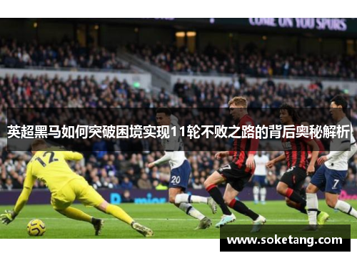 英超黑马如何突破困境实现11轮不败之路的背后奥秘解析 英超黑马如何突破困境实现11轮不败之路的背后奥秘解析